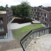 de binnentuin tussen Mulderskop en Kraayendal