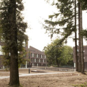 drie blokken in het parkbos